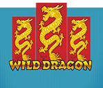 wild dragon slot game